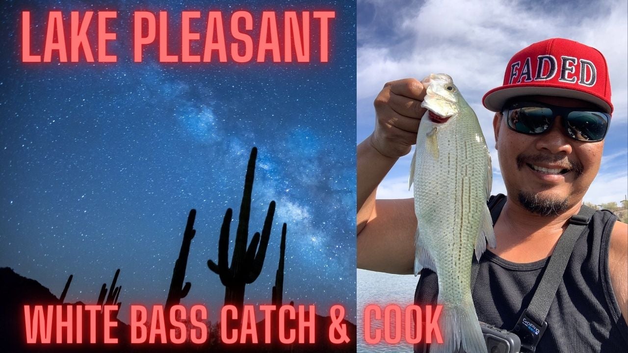 Lake Pleasant White Bass Catch & Cook with Spicy Green Mango Salsa